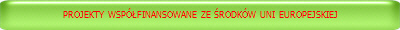 PROJEKTY WSPӣFINANSOWANE ZE �RODK�W UNII EUROPEJSKIEJ